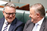 Joel Fitzgibbon and Anthony Albanese laugh while sitting on the frontbench in the House of Representatives