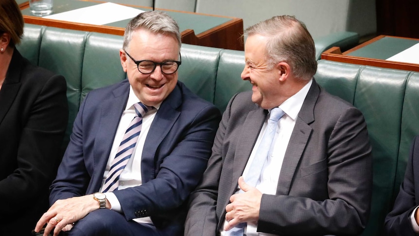 Joel Fitzgibbon and Anthony Albanese laugh while sitting on the frontbench in the House of Representatives