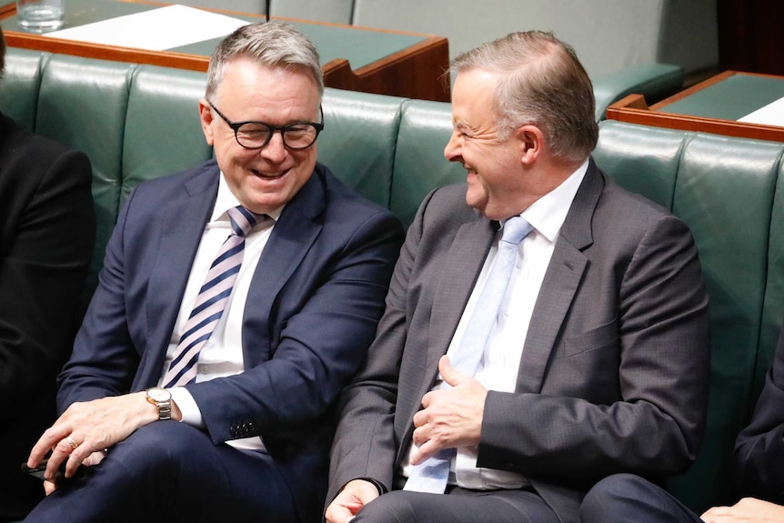 Joel Fitzgibbon and Anthony Albanese laugh while sitting on the frontbench in the House of Representatives