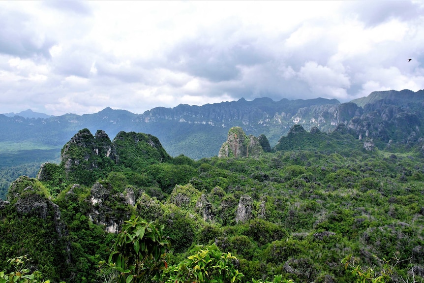 View over East Kalimantan