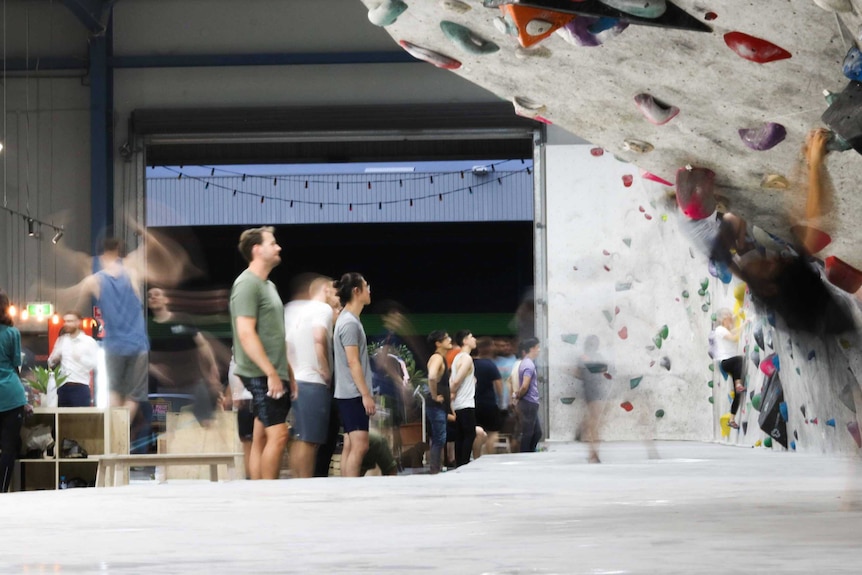 Climbers hang from the walls of the 9 Degrees bouldering gym in Sydney.