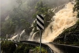 Waterfalls hit the roads in Dorrigo, NSW