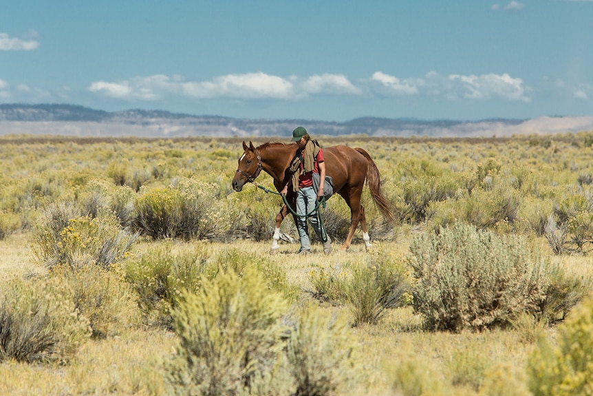 Colour still of Charlie Plummer walking with a quarter horse in the countryside on a sunny day in 2018 film Lean on Pete.