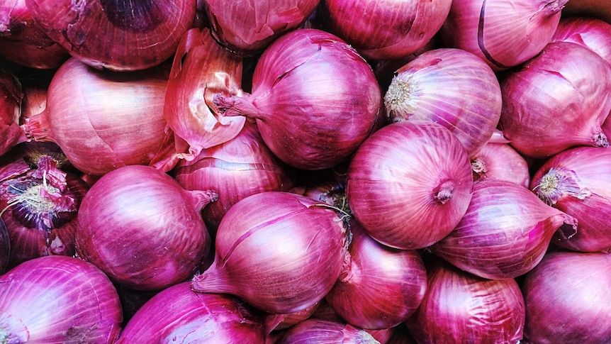 A flat-lay of unpeeled red onions.