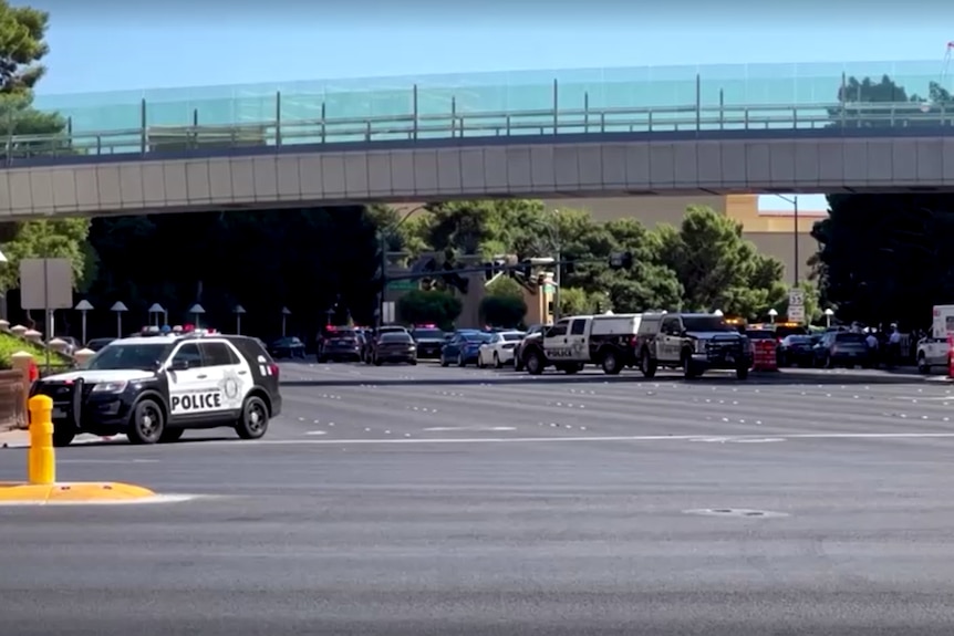 在明亮的阳光下，美国警车和救护车停在桥下的宽阔铺砌的街道上。