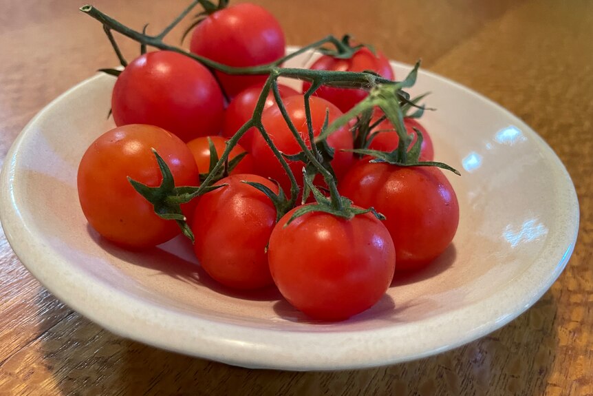 A light beige dish filled with cherry tomatoes on a silky oak tabletop
