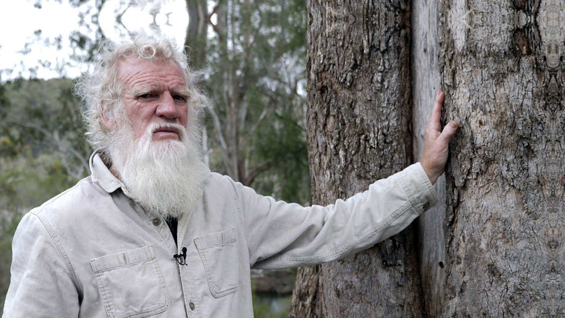 Bruce Pascoe: Aboriginal Agriculture, Technology And Ingenuity - ABC ...