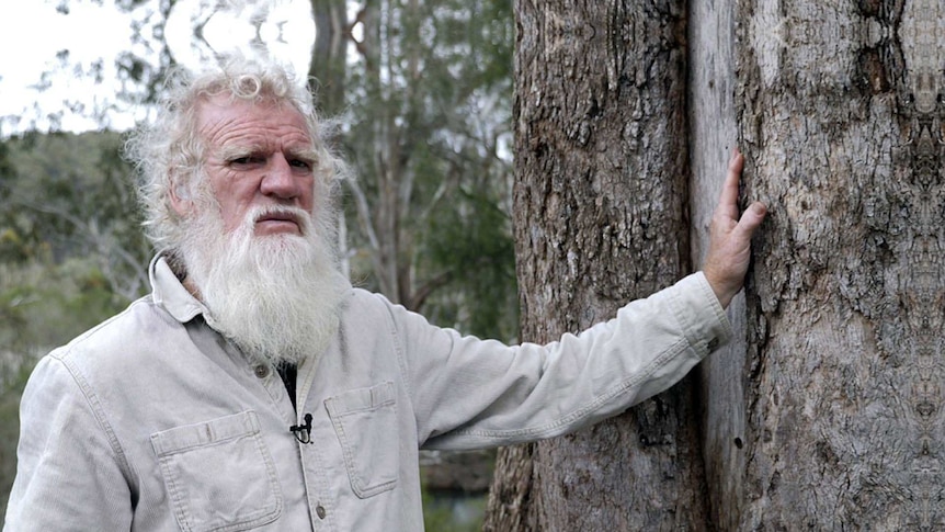 Bruce Pascoe with his hand on a tree