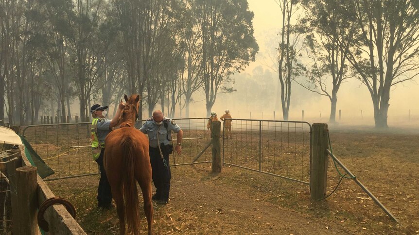 Bushfire at Richmond Vale, near Cessnock