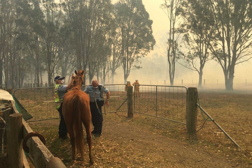 Bushfire at Richmond Vale, near Cessnock