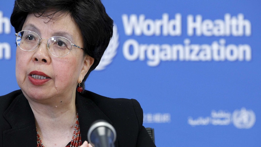 World Health Organization addresses the media on health emergency preparedness and response capacities