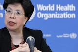 World Health Organization addresses the media on health emergency preparedness and response capacities