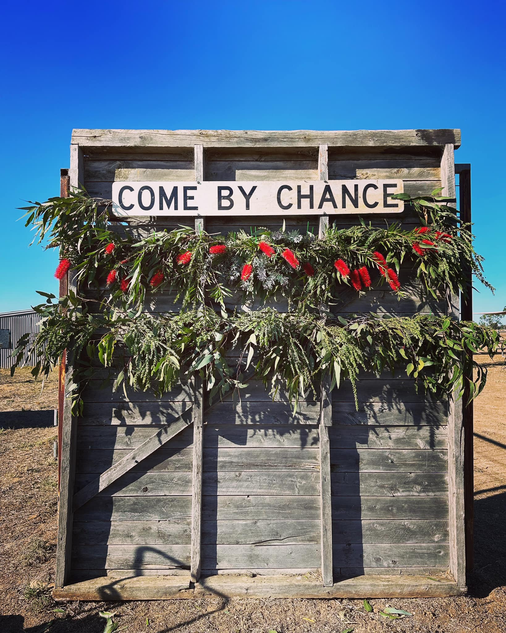 Come By Chance 'Dash for Cash' event under investigation by Racing NSW