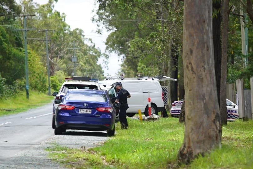 Police cars on a tree-lined street. 