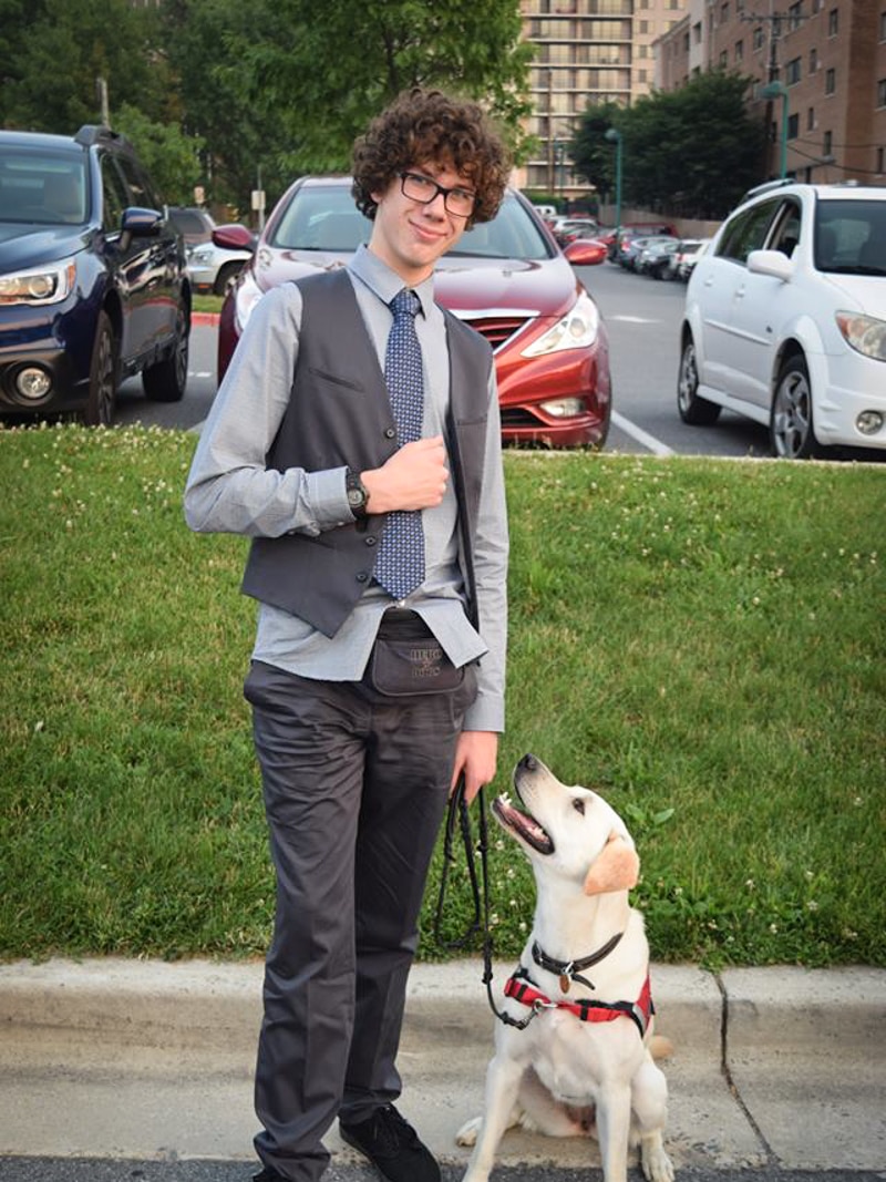 Boy wearing suit holds dog leech while Labrador looks up expectantly at him