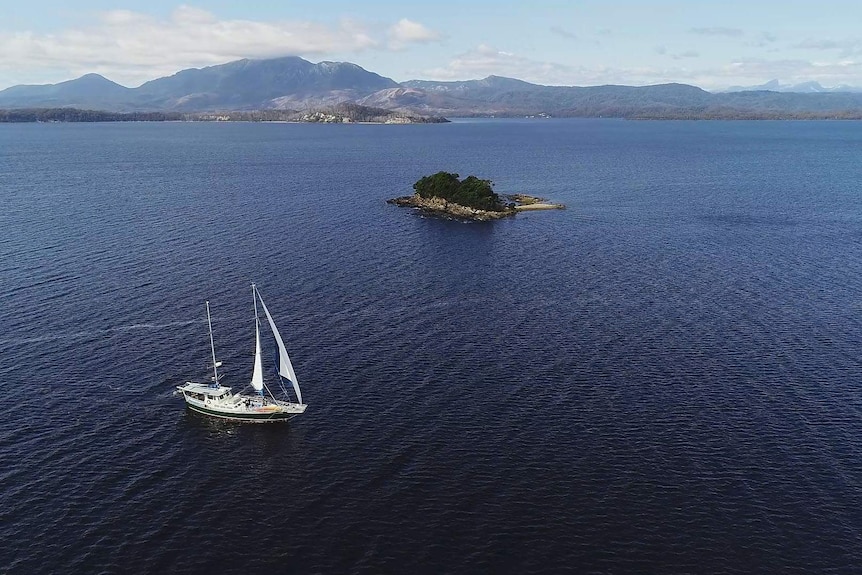 Yacht under sail passing  a small island in huge Macquarie Harbour with a mountain backdrop.