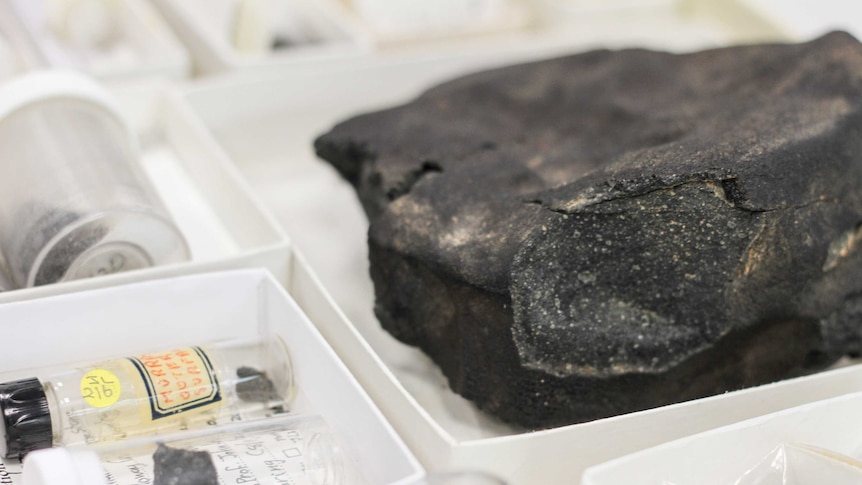 A tray of different meteorite samples.