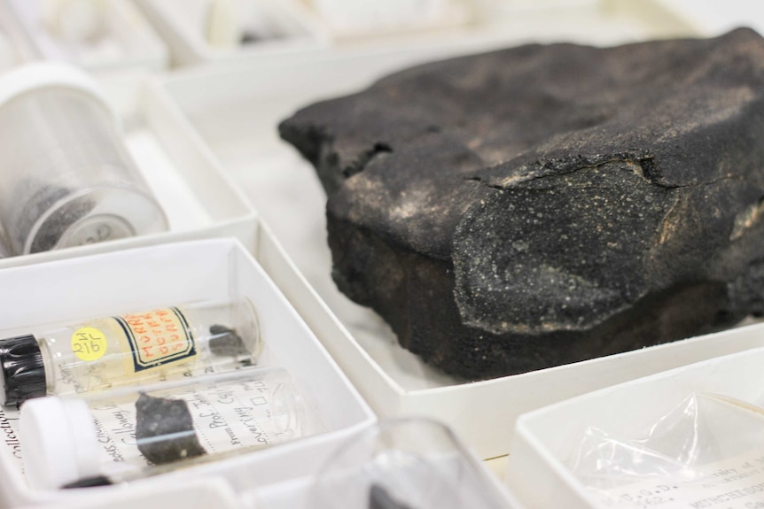 A tray of different meteorite samples.