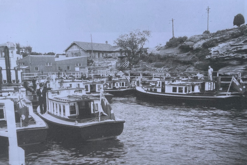 A fleet of old wooden workboats docked at Goat Island, on a river.