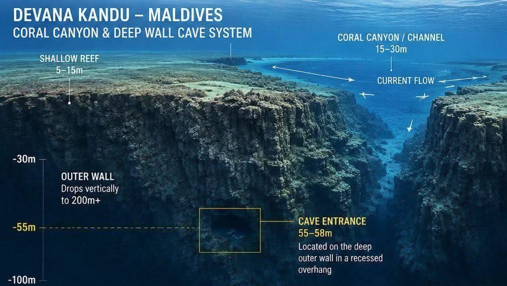 Five Italian divers died in a Maldives cave system. Authorities still don't  know why they went down there - ABC News