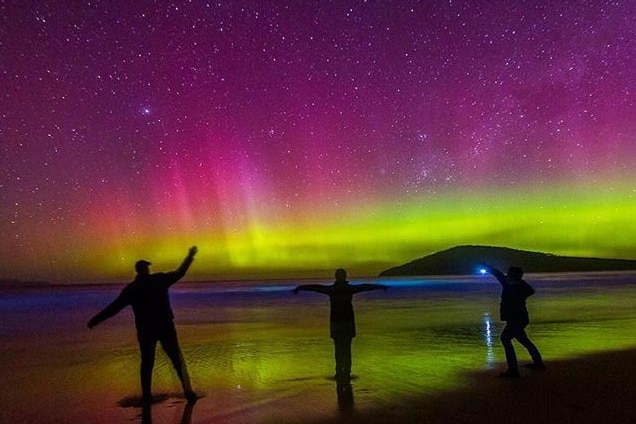 People watch the Aurora Australis from a beach.