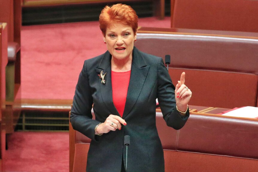 Pauline Hanson addresses the Senate