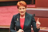 One Nation leader Pauline Hanson addresses the Senate on June 21, 2017.