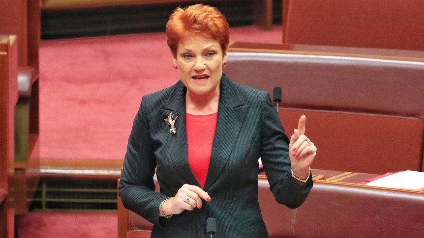 One Nation leader Pauline Hanson addresses the Senate on June 21, 2017.