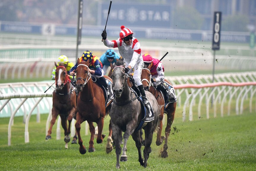 Jockey stands up in the irons and raises his whip in triumph as he rides a racehorse over the line.