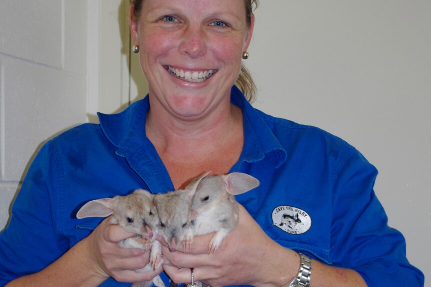 A woman wearing a blue shirt smiles at the camera while holding three baby bilbies.