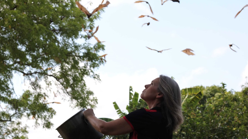 A blonde woman banging on a pot and pan to disperse flying foxes in sky and trees.