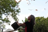 A blonde woman banging on a pot and pan to disperse flying foxes in sky and trees.