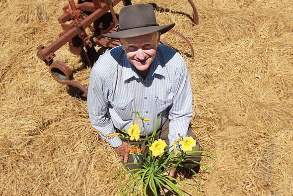 Image of Tom Wyatt planting daffodils