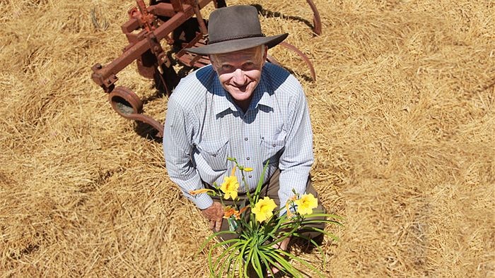 Image of Tom Wyatt planting daffodils