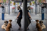 A woman stands and holds the leashes of her two dogs on a city street.