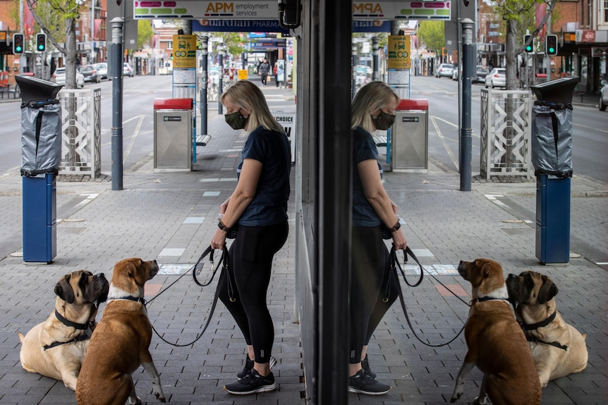 A woman stands and holds the leashes of her two dogs on a city street.