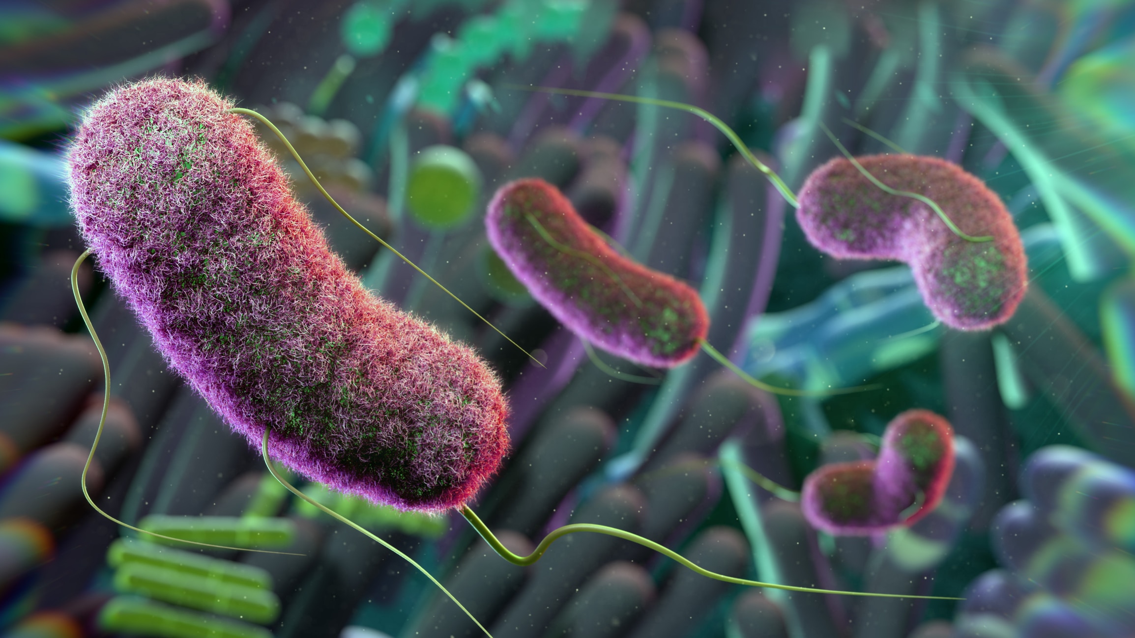 The Microbe by Hilaire Belloc