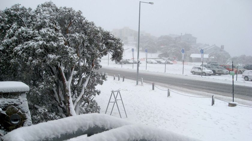 It is the heaviest August snowfall on the mountain since 2001.