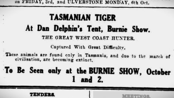 Advertisement for Tasmanian tiger on display.