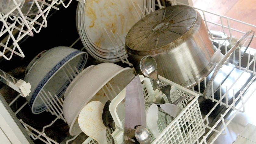 Dirty dishes and cutlery sit in a dishwasher