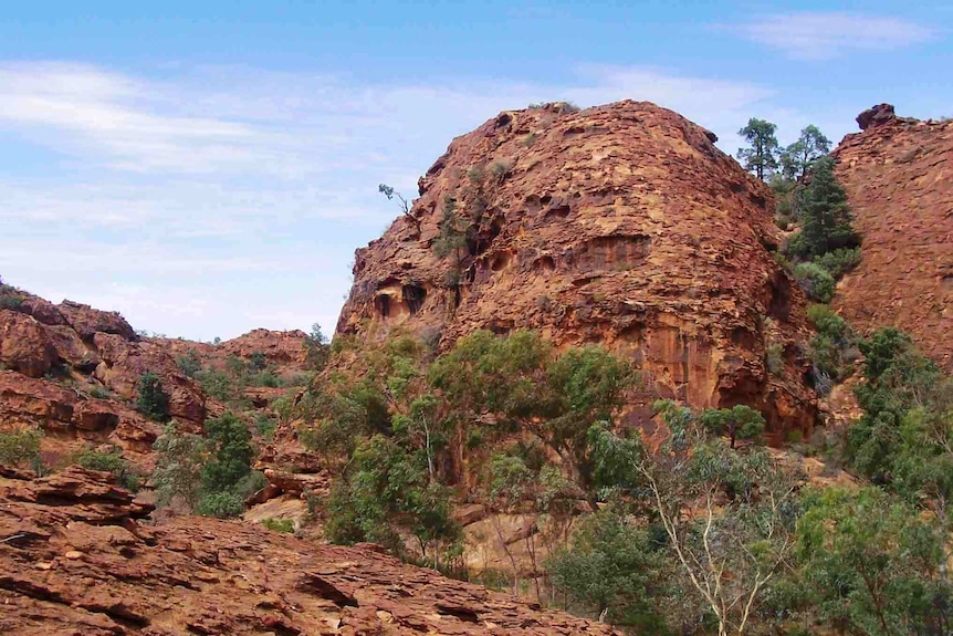 The far west's Mutawintji National Park would be covered by the Barkindji native title claim. A court's given the Wentworth Shire Council until midday today to finalise its position on the claim.