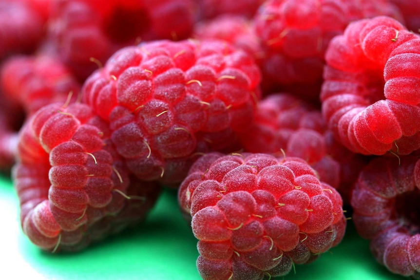 A close-up image of raspberries.