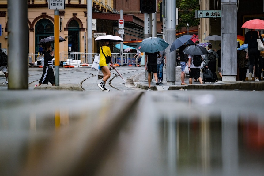 people carrying umbrellas walking on a street