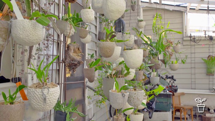 Collection of white and beige pot plants hanging in courtyard garden