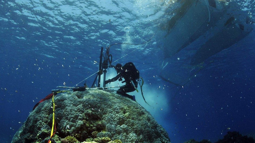 Coral coring at Rowley Shoals, west of Broome in Western Australia