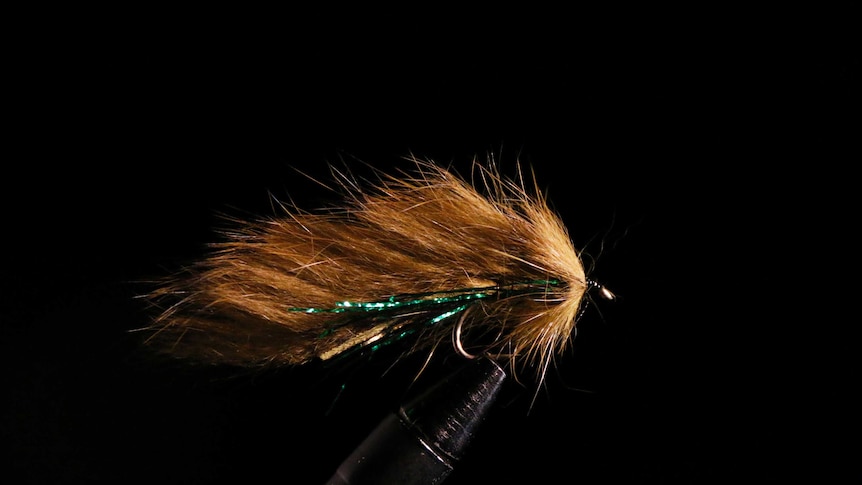 Trout fly with fur and green trim.
