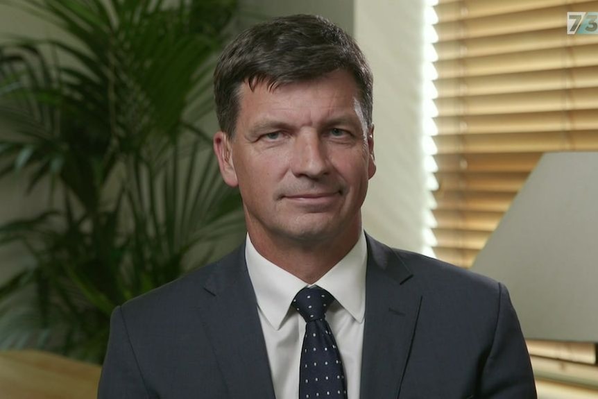 A head and shoulder shot of Angus Taylor.