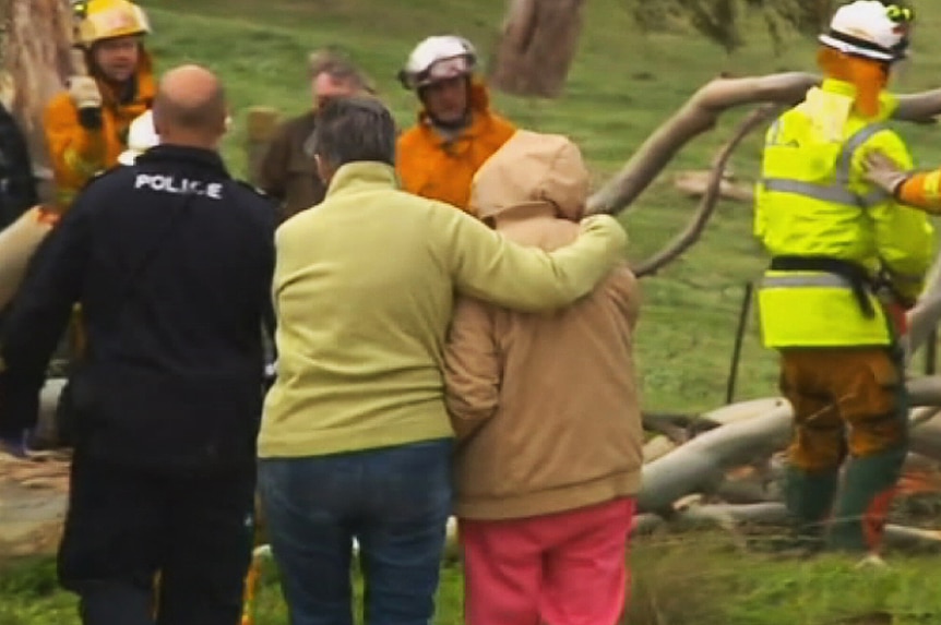 People console one another after a man is killed by a falling tree