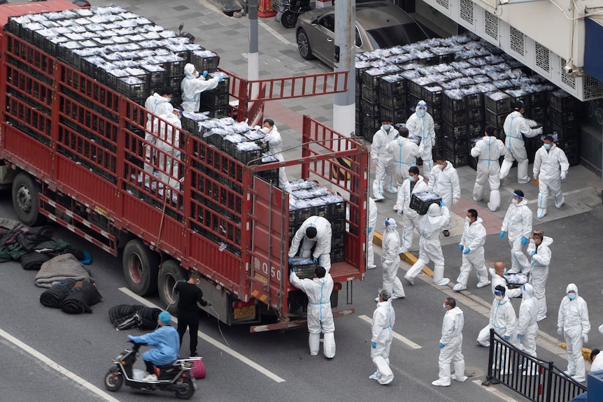 Workers in PPE unload groceries from a truck 