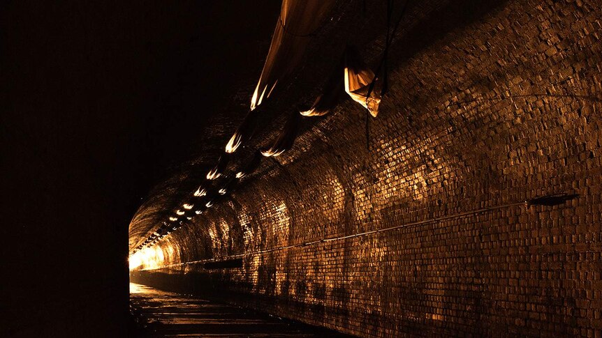 Sleeps Hill Tunnel unoccupied